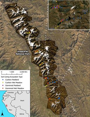 Mountain wetland soil carbon stocks of Huascarán National Park, Peru